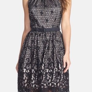 Eliza J Lace Dress